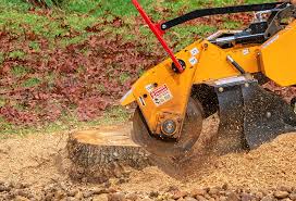 Best Lawn Pest Prevention  in Fremont, CA