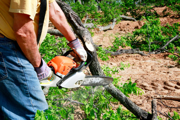 Lawn Irrigation Installation and Maintenance in Fremont, CA